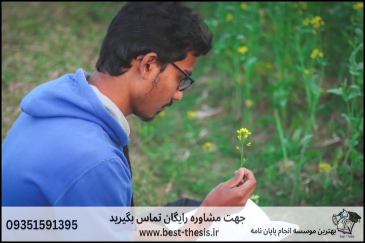 بهترین موسسه انجام پایان نامه در قائن + تضمینی — تصویر 3